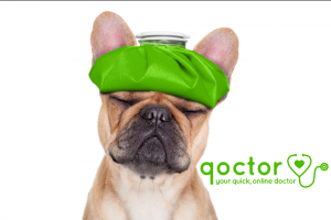 Migraine Medications & treatment for migraine, online Zomig, Maxalt and Imigran