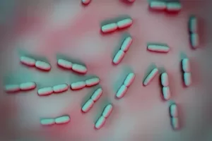Listeria 1 what causes gallstones? what are the symptoms of gallstones?