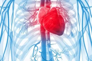 high triglycerides